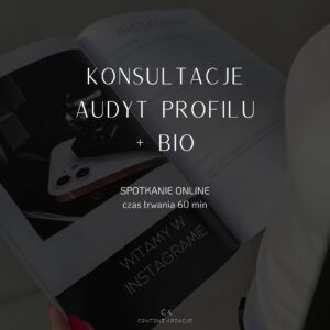 konsultacje audyt